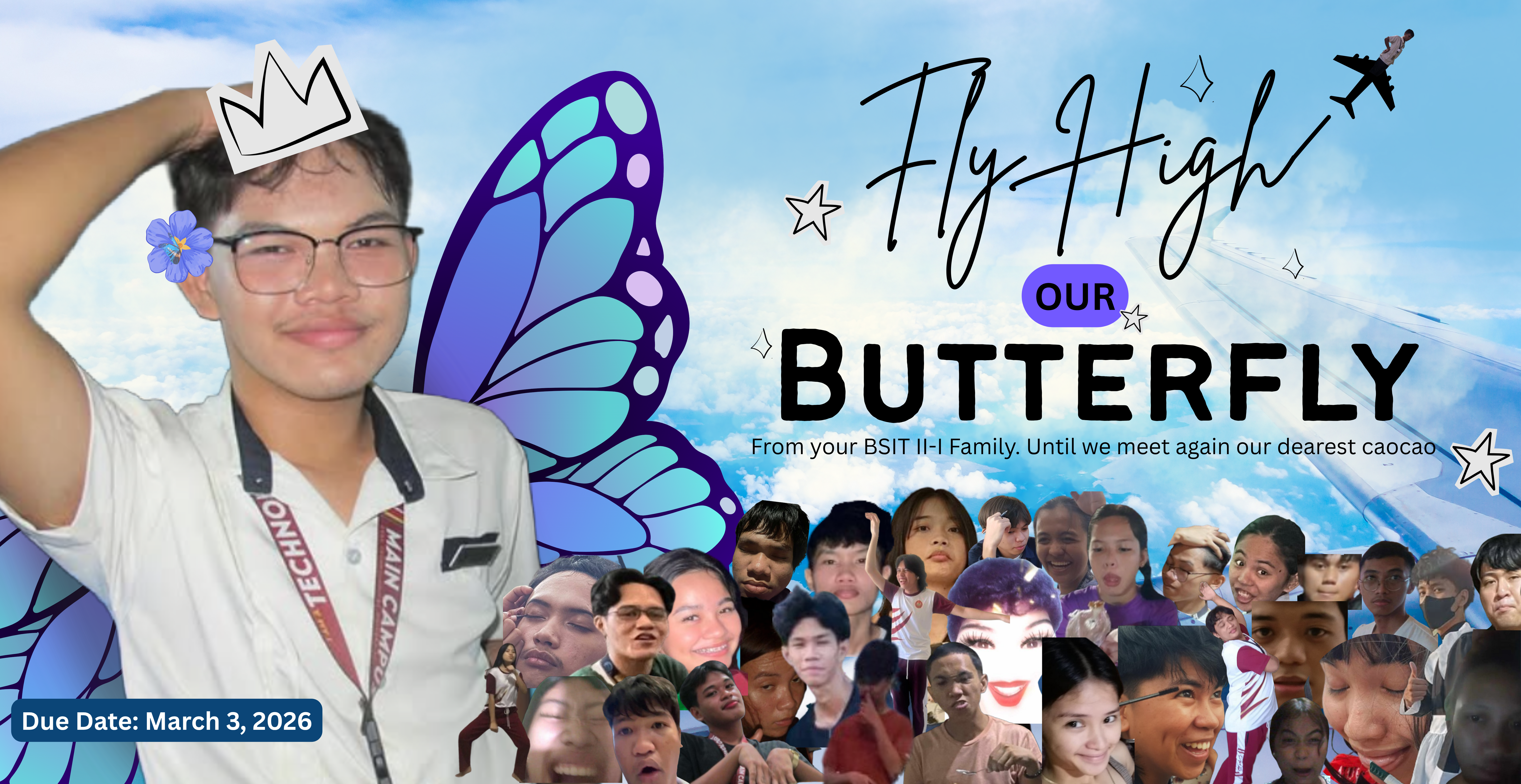 Butterfly Graphic
